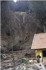 ������� ������� �������� ������������ �� ����������